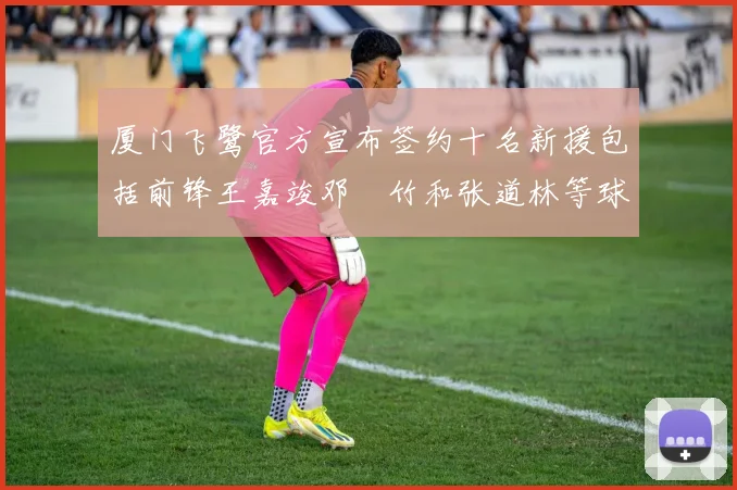 厦门飞鹭官方宣布签约十名新援包括前锋王嘉竣邓棽竹和张道林等球员