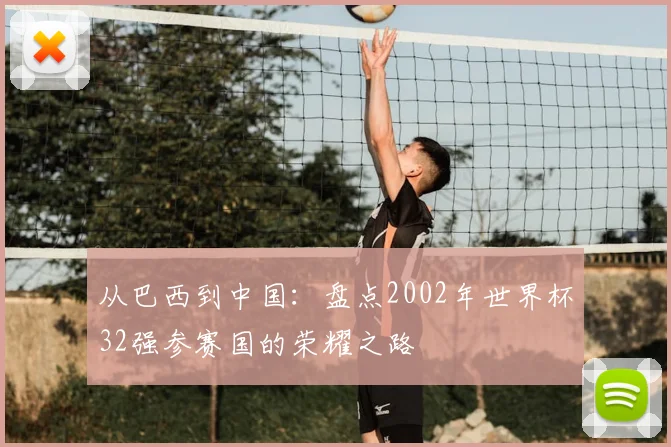 从巴西到中国:盘点2002年世界杯32强参赛国的荣耀之路