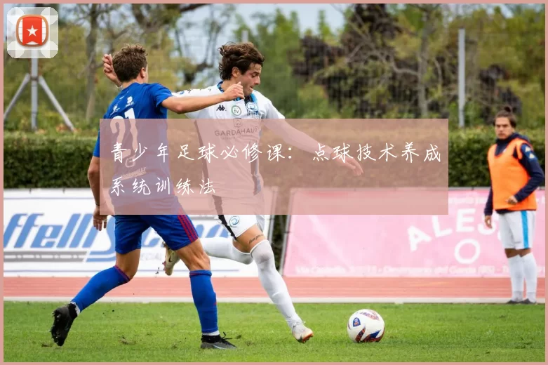 青少年足球必修课：点球技术养成系统训练法