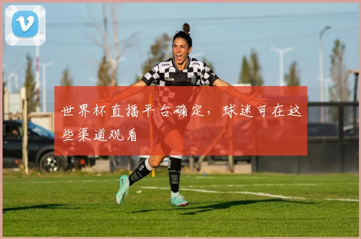 世界杯直播平台确定,球迷可在这些渠道观看