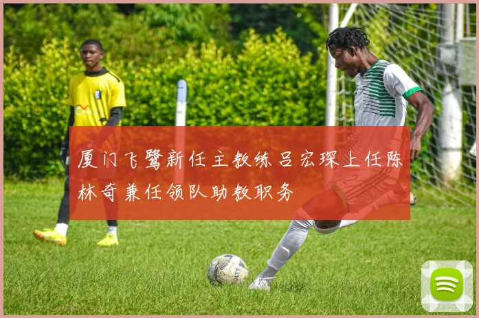 厦门飞鹭新任主教练吕宏琛上任陈林奇兼任领队助教职务