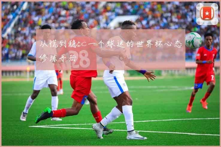 从慌到稳：一个球迷的世界杯心态修炼手册