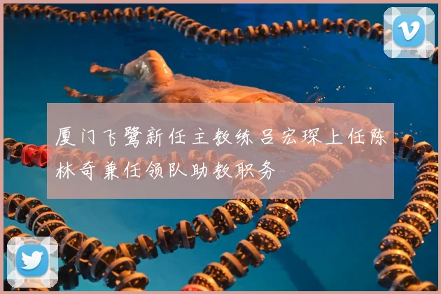 厦门飞鹭新任主教练吕宏琛上任陈林奇兼任领队助教职务