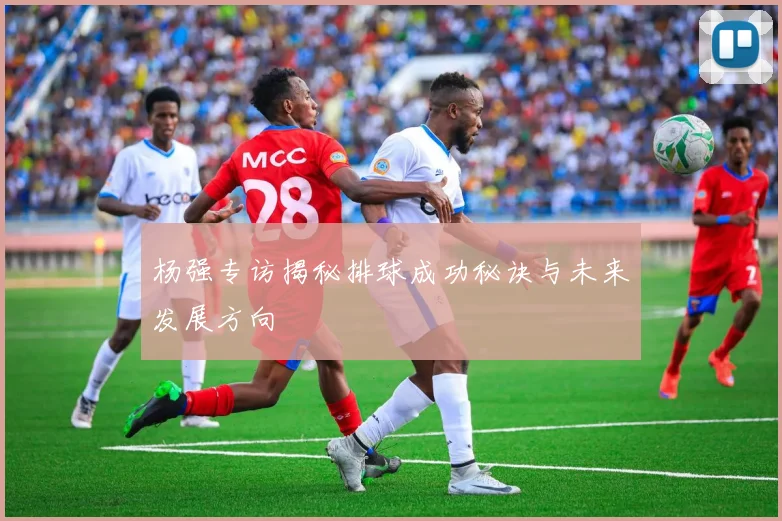 杨强专访揭秘排球成功秘诀与未来发展方向
