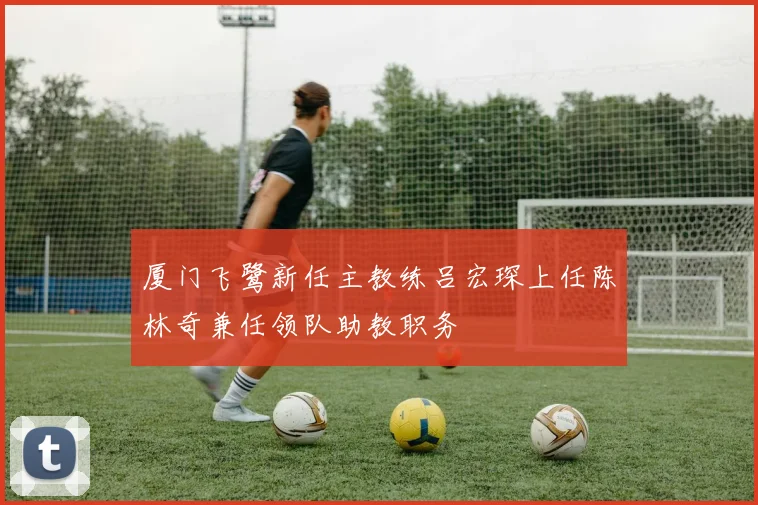 厦门飞鹭新任主教练吕宏琛上任陈林奇兼任领队助教职务