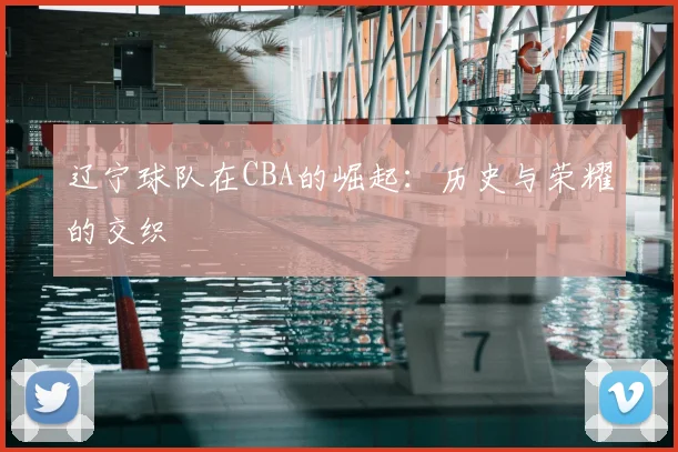 辽宁球队在CBA的崛起:历史与荣耀的交织