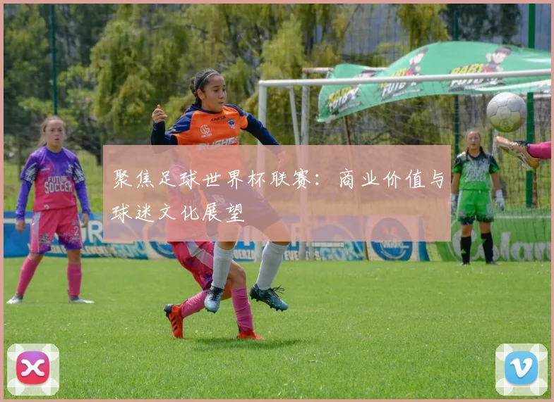 聚焦足球世界杯联赛：商业价值与球迷文化展望