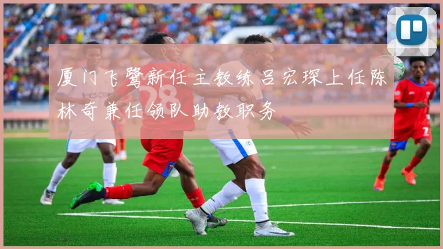 厦门飞鹭新任主教练吕宏琛上任陈林奇兼任领队助教职务
