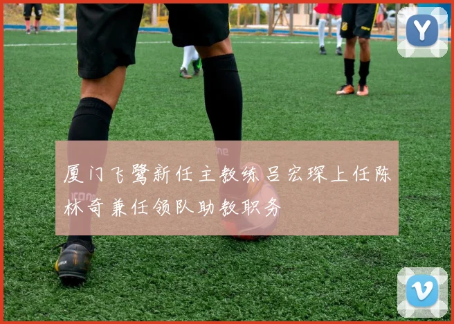 厦门飞鹭新任主教练吕宏琛上任陈林奇兼任领队助教职务