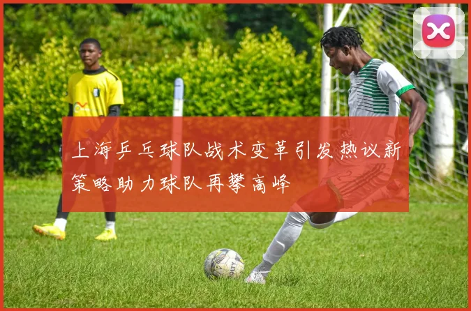 上海乒乓球队战术变革引发热议新策略助力球队再攀高峰