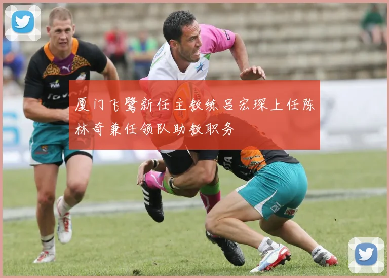 厦门飞鹭新任主教练吕宏琛上任陈林奇兼任领队助教职务