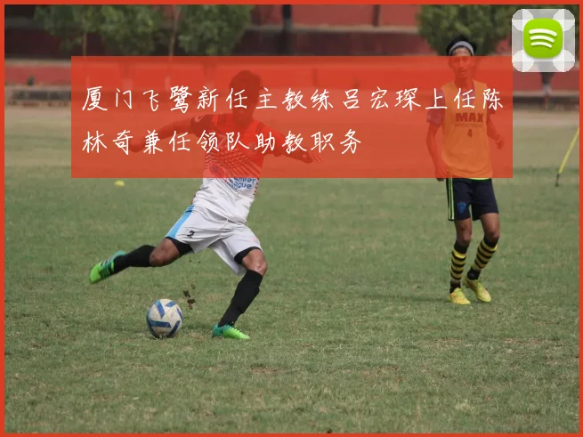 厦门飞鹭新任主教练吕宏琛上任陈林奇兼任领队助教职务
