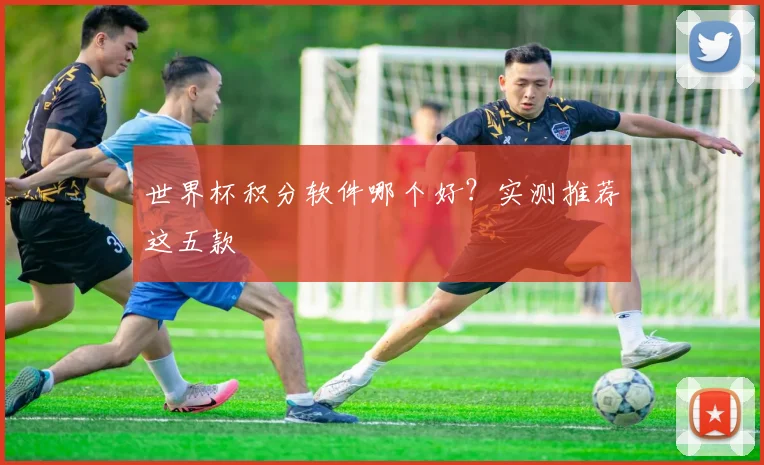 世界杯积分软件哪个好?实测推荐这五款