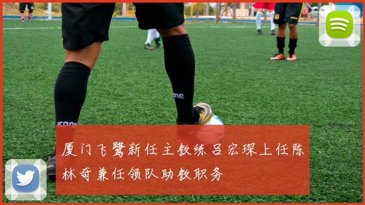 厦门飞鹭新任主教练吕宏琛上任陈林奇兼任领队助教职务