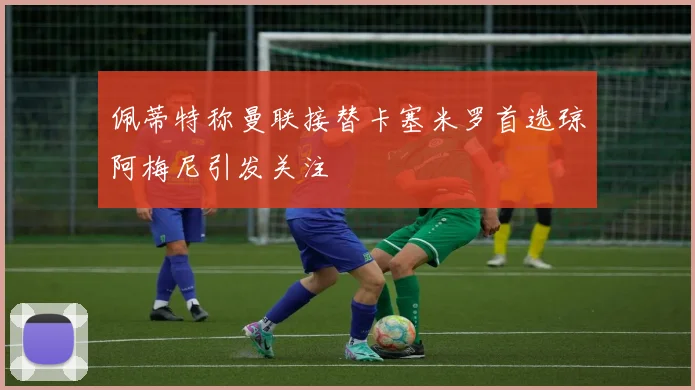 佩蒂特称曼联接替卡塞米罗首选琼阿梅尼引发关注