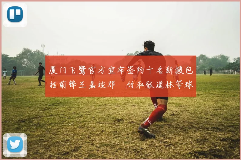 厦门飞鹭官方宣布签约十名新援包括前锋王嘉竣邓棽竹和张道林等球员