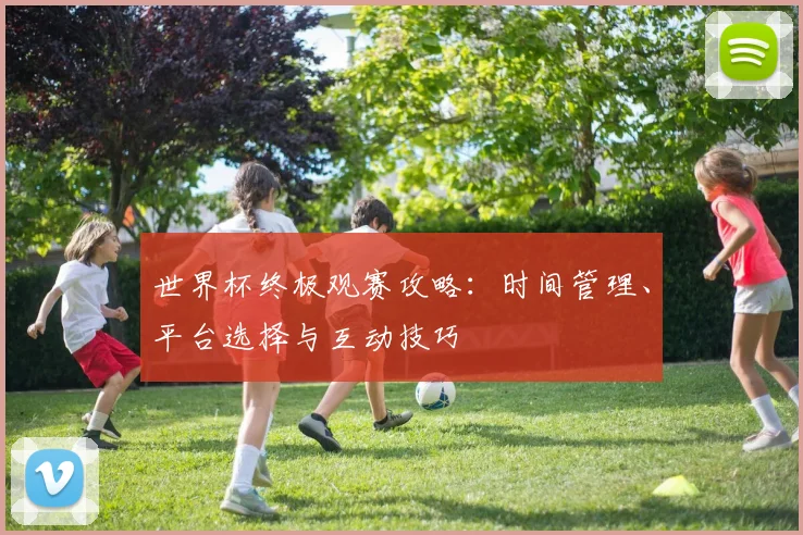 世界杯终极观赛攻略：时间管理、平台选择与互动技巧