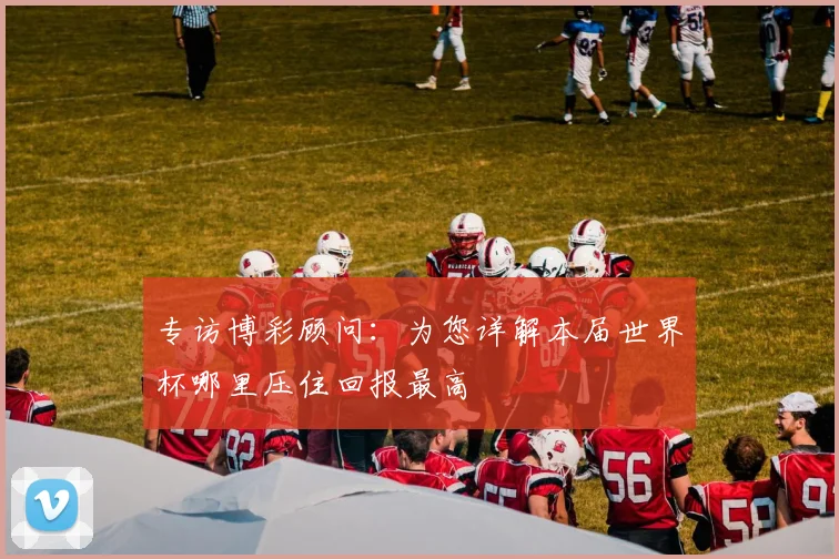 专访博彩顾问：为您详解本届世界杯哪里压住回报最高