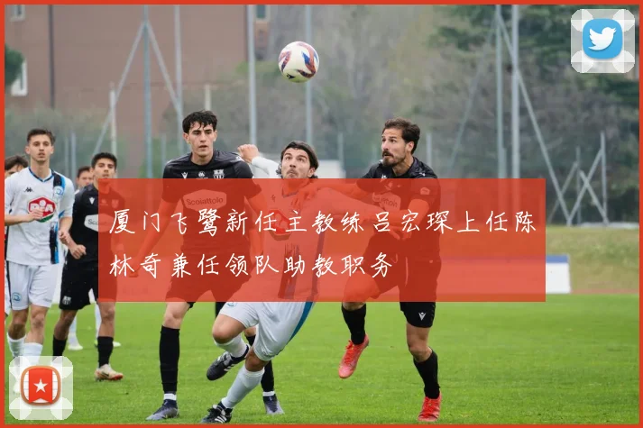 厦门飞鹭新任主教练吕宏琛上任陈林奇兼任领队助教职务