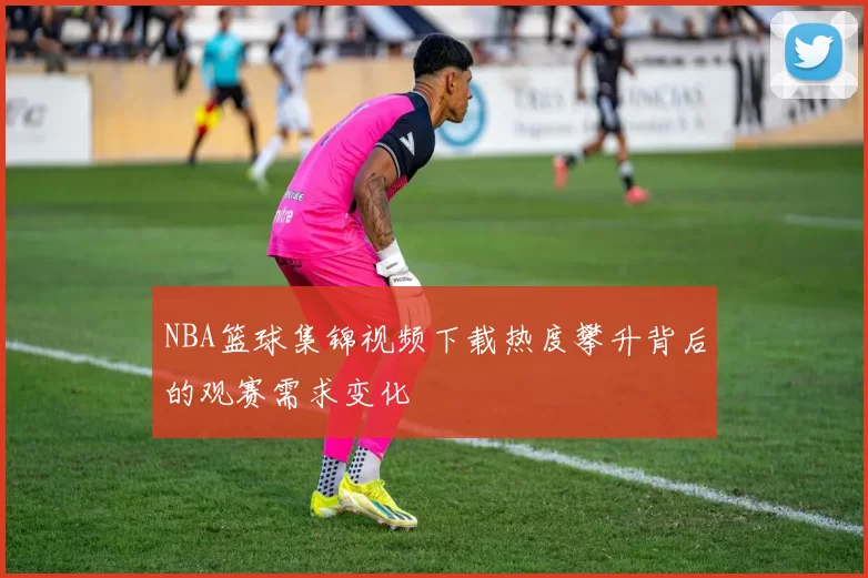 NBA篮球集锦视频下载热度攀升背后的观赛需求变化
